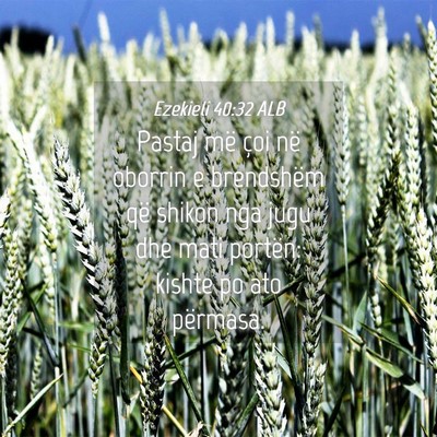 Picture 04 - Ezekieli 40:32 ALB - Pastaj më çoi në oborrin e brendshëm që - Bible Verse Picture