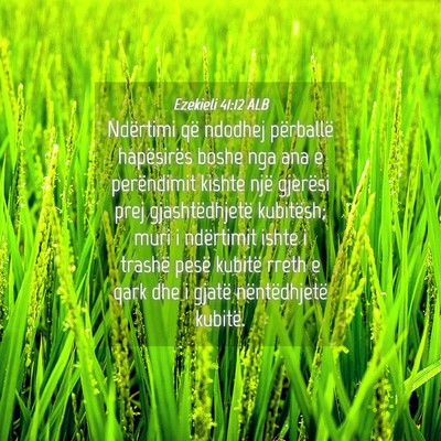 Picture 04 - Ezekieli 41:12 ALB - Ndërtimi që ndodhej përballë hapësirës - Bible Verse Picture