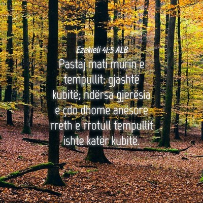 Picture 04 - Ezekieli 41:5 ALB - Pastaj mati murin e tempullit: gjashtë kubitë; - Bible Verse Picture