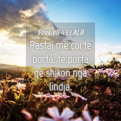 Picture 04 - Ezekieli 43:1 ALB - Pastaj më çoi te porta, te porta që shikon nga - Bible Verse Picture
