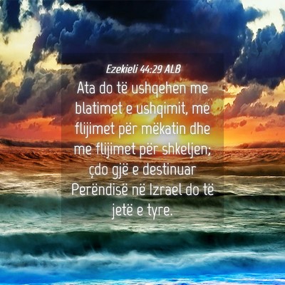 Picture 04 - Ezekieli 44:29 ALB - Ata do të ushqehen me blatimet e ushqimit, me - Bible Verse Picture