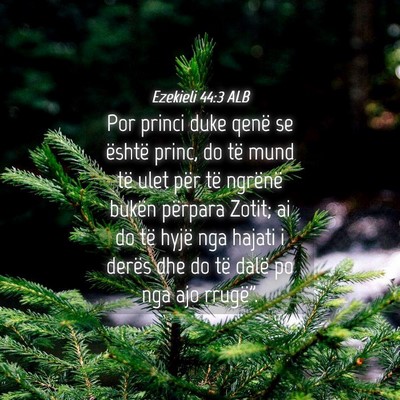 Picture 04 - Ezekieli 44:3 ALB - Por princi duke qenë se është princ, do të - Bible Verse Picture