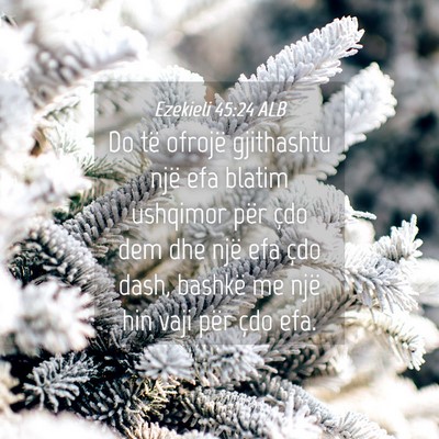 Picture 04 - Ezekieli 45:24 ALB - Do të ofrojë gjithashtu një efa blatim - Bible Verse Picture