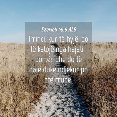 Picture 04 - Ezekieli 46:8 ALB - Princi, kur të hyjë, do të kalojë nga hajati - Bible Verse Picture