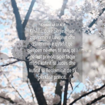 Picture 04 - Ezekieli 48:22 ALB - Kështu, duke përjashtuar zotërimin e Levitëve - Bible Verse Picture