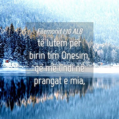 Picture 04 - Filemonit 1:10 ALB - të lutem për birin tim Onesim, që më lindi - Bible Verse Picture