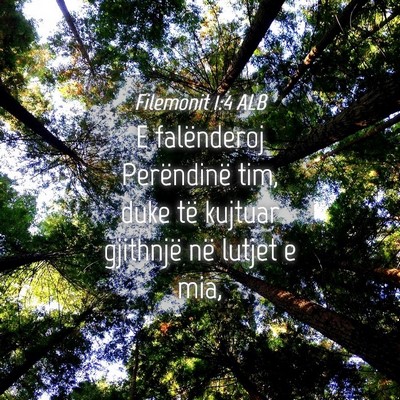 Picture 04 - Filemonit 1:4 ALB - E falënderoj Perëndinë tim, duke të kujtuar - Bible Verse Picture