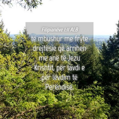 Picture 04 - Filipianëve 1:11 ALB - të mbushur me fryte drejtësie që arrihen me - Bible Verse Picture