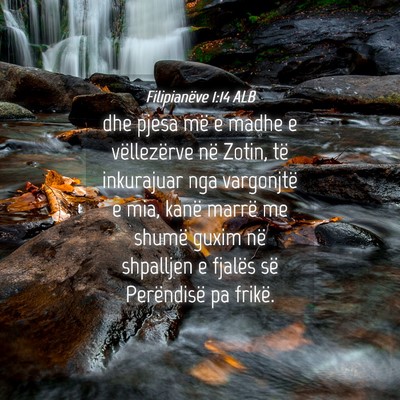 Picture 04 - Filipianëve 1:14 ALB - dhe pjesa më e madhe e vëllezërve në Zotin, - Bible Verse Picture