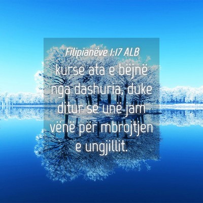 Picture 04 - Filipianëve 1:17 ALB - kurse ata e bëjnë nga dashuria, duke ditur se - Bible Verse Picture