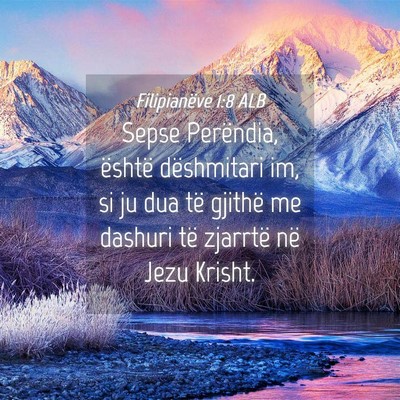 Picture 04 - Filipianëve 1:8 ALB - Sepse Perëndia, është dëshmitari im, si ju - Bible Verse Picture
