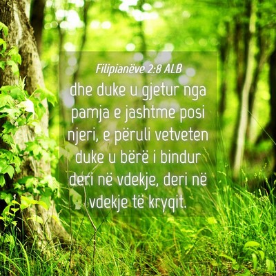 Picture 04 - Filipianëve 2:8 ALB - dhe duke u gjetur nga pamja e jashtme posi njeri, - Bible Verse Picture