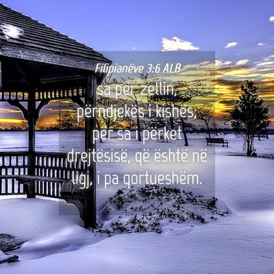 Picture 04 - Filipianëve 3:6 ALB - sa për zellin, përndjekës i kishës; për sa i - Bible Verse Picture