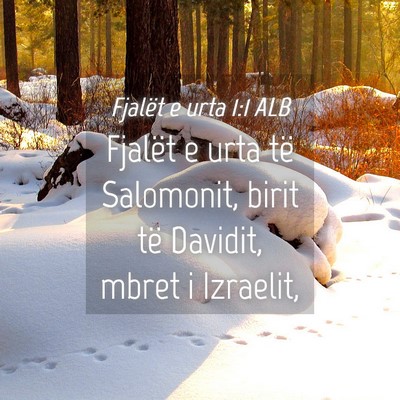 Picture 04 - Fjalët e urta 1:1 ALB - Fjalët e urta të Salomonit, birit të Davidit, - Bible Verse Picture
