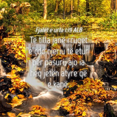 Picture 04 - Fjalët e urta 1:19 ALB - Të tilla janë rrugët e çdo njeriu të etur - Bible Verse Picture