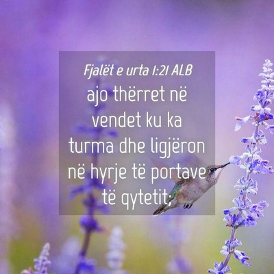 Picture 04 - Fjalët e urta 1:21 ALB - ajo thërret në vendet ku ka turma dhe ligjëron - Bible Verse Picture