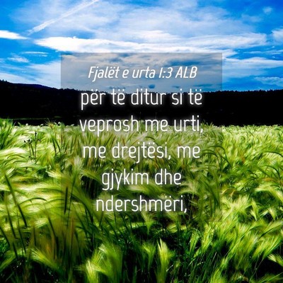 Picture 04 - Fjalët e urta 1:3 ALB - për të ditur si të veprosh me urti, me - Bible Verse Picture