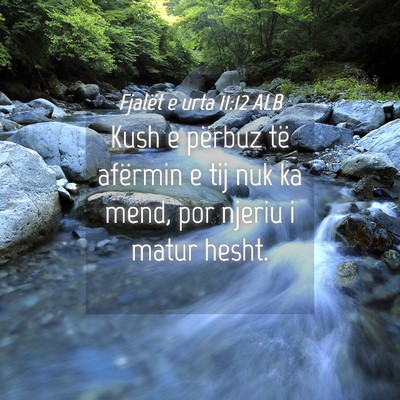 Picture 04 - Fjalët e urta 11:12 ALB - Kush e përbuz të afërmin e tij nuk ka mend, - Bible Verse Picture