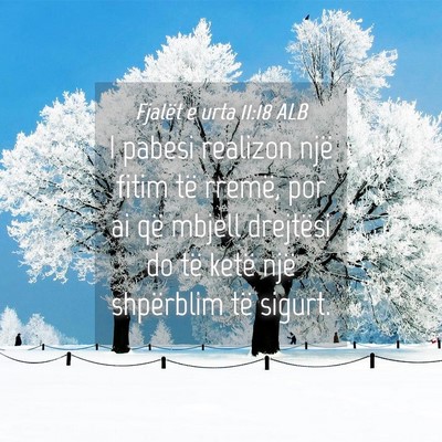 Picture 04 - Fjalët e urta 11:18 ALB - I pabesi realizon një fitim të rremë, por ai - Bible Verse Picture
