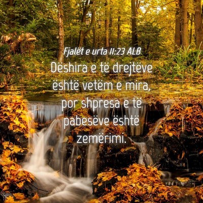 Picture 04 - Fjalët e urta 11:23 ALB - Dëshira e të drejtëve është vetëm e mira, - Bible Verse Picture