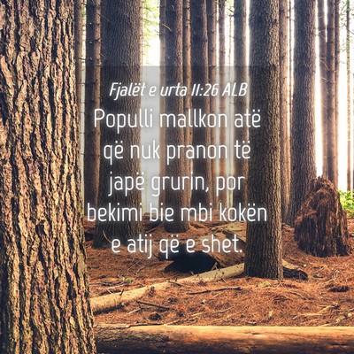 Picture 04 - Fjalët e urta 11:26 ALB - Populli mallkon atë që nuk pranon të japë - Bible Verse Picture