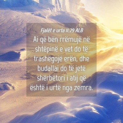 Picture 04 - Fjalët e urta 11:29 ALB - Ai që bën rrëmujë në shtëpinë e vet do të - Bible Verse Picture