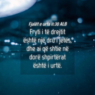 Picture 04 - Fjalët e urta 11:30 ALB - Fryti i të drejtit është një dru i jetës, - Bible Verse Picture