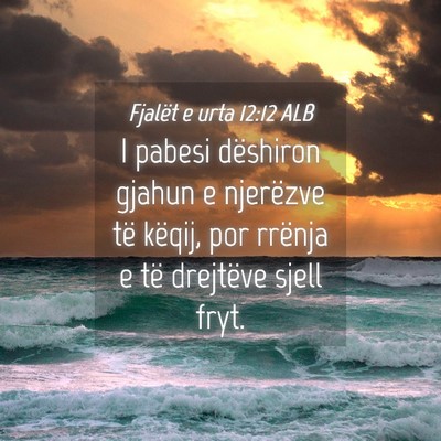 Picture 04 - Fjalët e urta 12:12 ALB - I pabesi dëshiron gjahun e njerëzve të këqij, - Bible Verse Picture