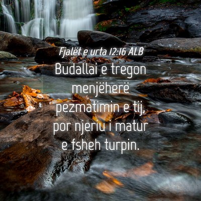 Picture 04 - Fjalët e urta 12:16 ALB - Budallai e tregon menjëherë pezmatimin e tij, - Bible Verse Picture