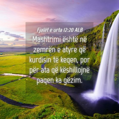 Picture 04 - Fjalët e urta 12:20 ALB - Mashtrimi është në zemrën e atyre që - Bible Verse Picture