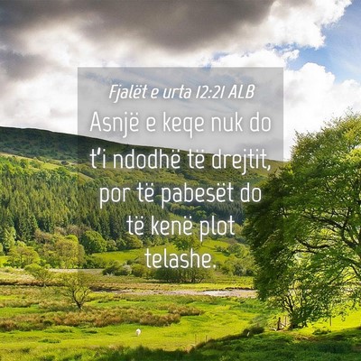 Picture 04 - Fjalët e urta 12:21 ALB - Asnjë e keqe nuk do t’i ndodhë të drejtit, - Bible Verse Picture