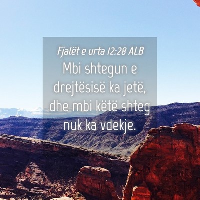 Picture 04 - Fjalët e urta 12:28 ALB - Mbi shtegun e drejtësisë ka jetë, dhe mbi - Bible Verse Picture
