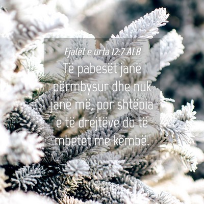 Picture 04 - Fjalët e urta 12:7 ALB - Të pabesët janë përmbysur dhe nuk janë më, - Bible Verse Picture