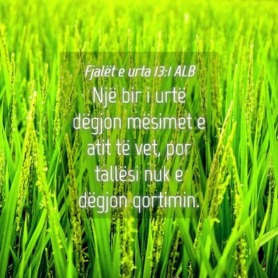 Picture 04 - Fjalët e urta 13:1 ALB - Një bir i urtë dëgjon mësimet e atit të vet, - Bible Verse Picture