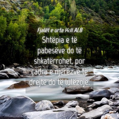 Picture 04 - Fjalët e urta 14:11 ALB - Shtëpia e të pabesëve do të shkatërrohet, - Bible Verse Picture