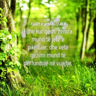 Picture 04 - Fjalët e urta 14:13 ALB - Edhe kur qesh, zemra mund të jetë e pikëlluar, - Bible Verse Picture