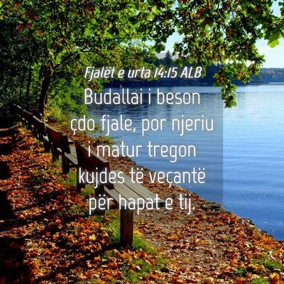 Picture 04 - Fjalët e urta 14:15 ALB - Budallai i beson çdo fjale, por njeriu i matur - Bible Verse Picture