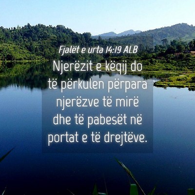 Picture 04 - Fjalët e urta 14:19 ALB - Njerëzit e këqij do të përkulen përpara - Bible Verse Picture