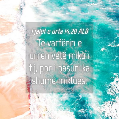 Picture 04 - Fjalët e urta 14:20 ALB - Të varfërin e urren vetë miku i tij, por i - Bible Verse Picture