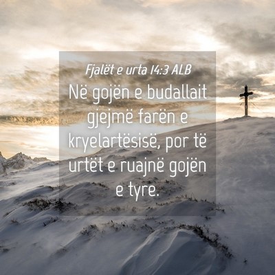 Picture 04 - Fjalët e urta 14:3 ALB - Në gojën e budallait gjejmë farën e - Bible Verse Picture