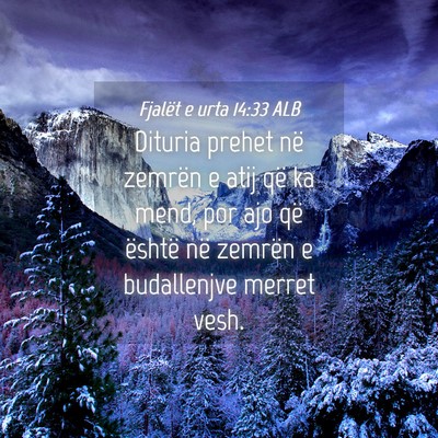 Picture 04 - Fjalët e urta 14:33 ALB - Dituria prehet në zemrën e atij që ka mend, - Bible Verse Picture