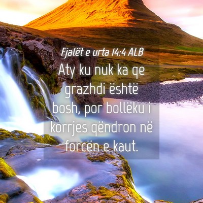 Picture 04 - Fjalët e urta 14:4 ALB - Aty ku nuk ka qe grazhdi është bosh, por - Bible Verse Picture