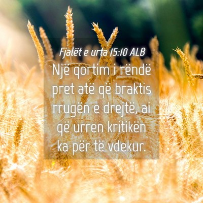 Picture 04 - Fjalët e urta 15:10 ALB - Një qortim i rëndë pret atë që braktis - Bible Verse Picture