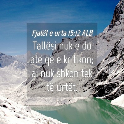 Picture 04 - Fjalët e urta 15:12 ALB - Tallësi nuk e do atë që e kritikon; ai nuk - Bible Verse Picture