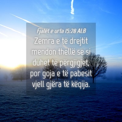 Picture 04 - Fjalët e urta 15:28 ALB - Zemra e të drejtit mendon thellë se si duhet - Bible Verse Picture