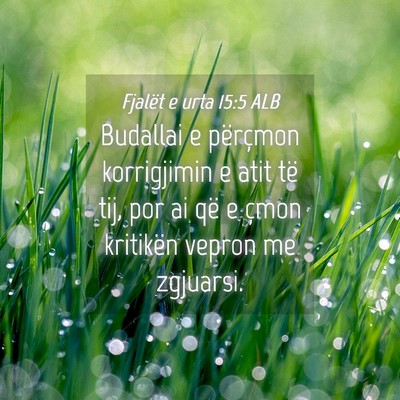 Picture 04 - Fjalët e urta 15:5 ALB - Budallai e përçmon korrigjimin e atit të tij, - Bible Verse Picture