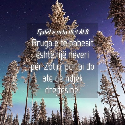 Picture 04 - Fjalët e urta 15:9 ALB - Rruga e të pabesit është një neveri për - Bible Verse Picture
