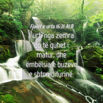 Picture 04 - Fjalët e urta 16:21 ALB - I urti nga zemra do të quhet i matur, dhe - Bible Verse Picture