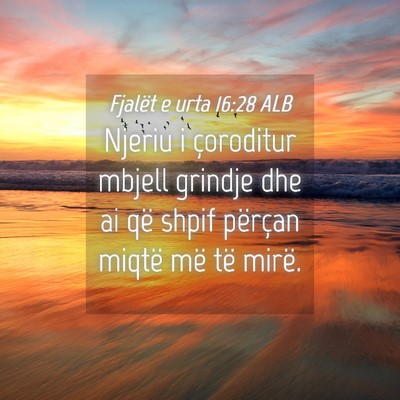 Picture 04 - Fjalët e urta 16:28 ALB - Njeriu i çoroditur mbjell grindje dhe ai që - Bible Verse Picture