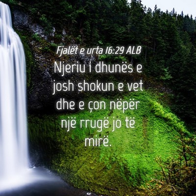 Picture 04 - Fjalët e urta 16:29 ALB - Njeriu i dhunës e josh shokun e vet dhe e çon - Bible Verse Picture